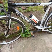 bicicletta da uomo