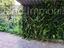 Immagine 12