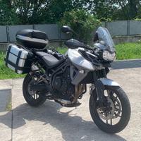 Triumph Tiger 800 - Grigio