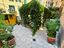 Immagine 20