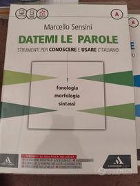 Libro di testo italiano