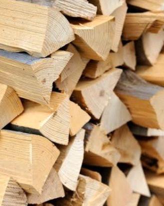 legna da ardere secca 