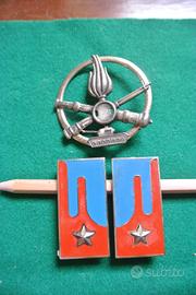 Mostrine militari: CARRISTI dell'ESERCITO ITALIANO