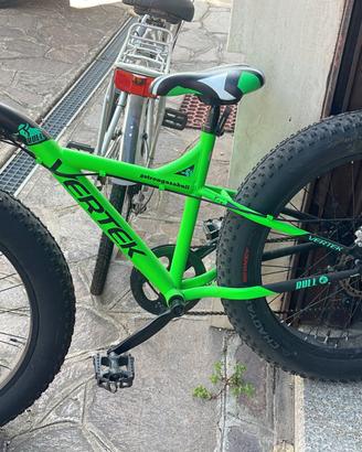 Bici ruote grosse