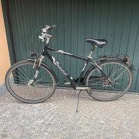 City bike da uomo Pegasus