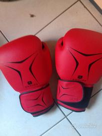 guantoni da boxe 