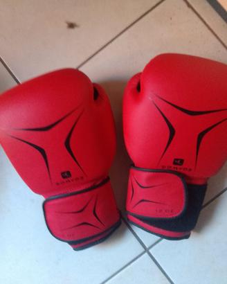 guantoni da boxe 