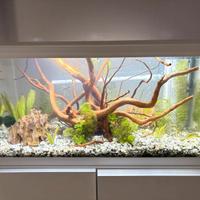 Aquario Ciano 60L