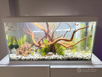 Aquario Ciano 60L
