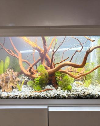 Aquario Ciano 60L