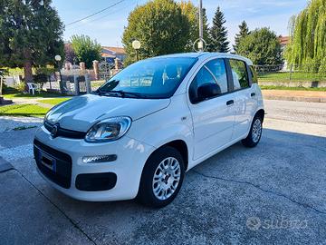 FIAT Panda 1.2 69cv S&S Euro 6 Easy 