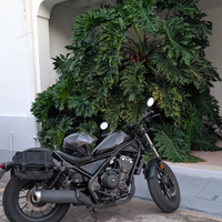 Honda Rebel 500