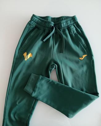 Pantalone Joma Hellas Verona