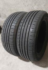 2 gomme Estive nokian 195/55/r15. 98% battistrada.