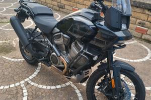 Panamerica Special 1250 my 2024