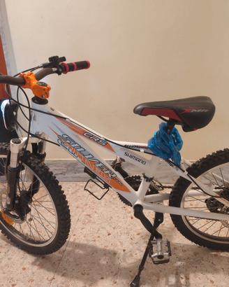 Mtb bici 20 pollici 21 marce