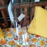 parabrezza alto CF moto 650 mt