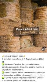 Fieno in Rotoli  stagione 2026