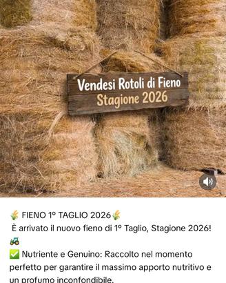 Fieno in Rotoli  stagione 2026