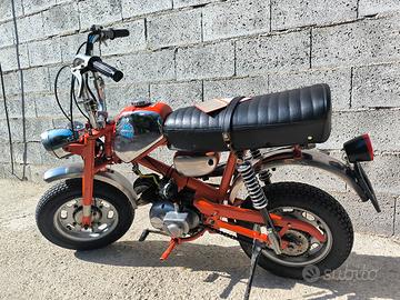 Benelli mini bike