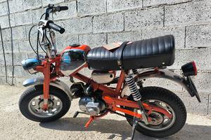 Benelli mini bike
