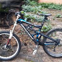 Bici da downhill