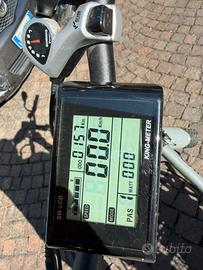 Bici elttrica