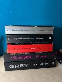 Libri di E L James