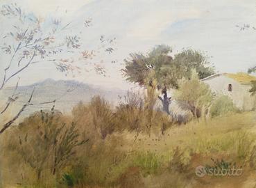 Aldo Matteotti - Le Cinque Terre