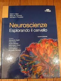 🧠 Neuroscienze – Esplorando il cervello