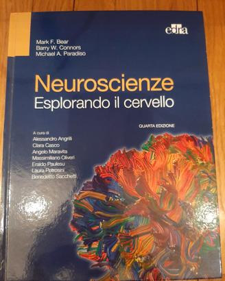 🧠 Neuroscienze – Esplorando il cervello