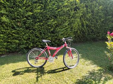 Bicicletta bambino