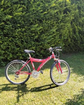 Bicicletta bambino