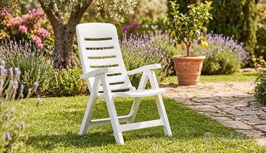 Coppia poltrone reclinabili - Quintilla