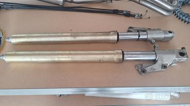 rgv gamma 250 2t suzuki forcelle