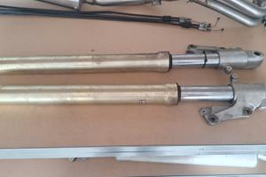 rgv gamma 250 2t suzuki forcelle