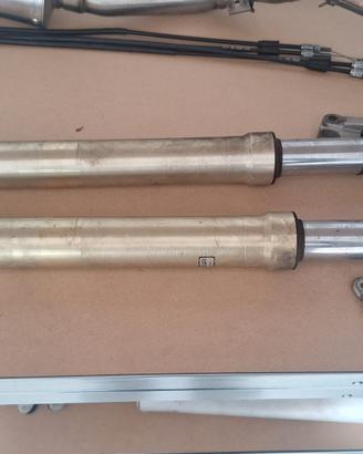 rgv gamma 250 2t suzuki forcelle