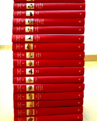 raccolta 16 ricettari Mondadori cucina italiana
