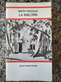La malora di Beppe Fenoglio