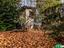 Immagine 25