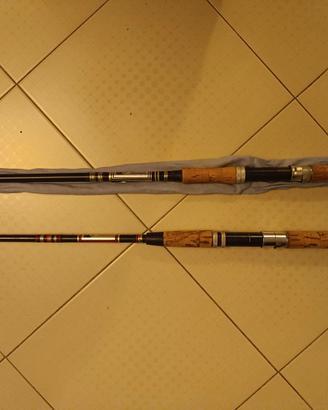 Canne da pesca spinning