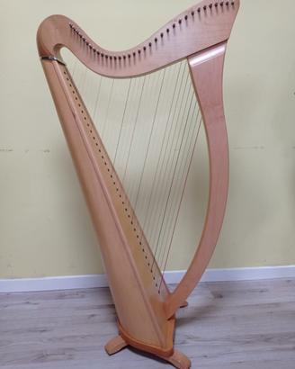 Arpa Camac