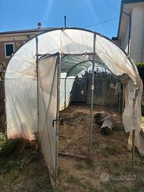 Serra tunnel 6×2,5 m – struttura metallica + teli