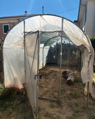 Serra tunnel 6×2,5 m – struttura metallica + teli