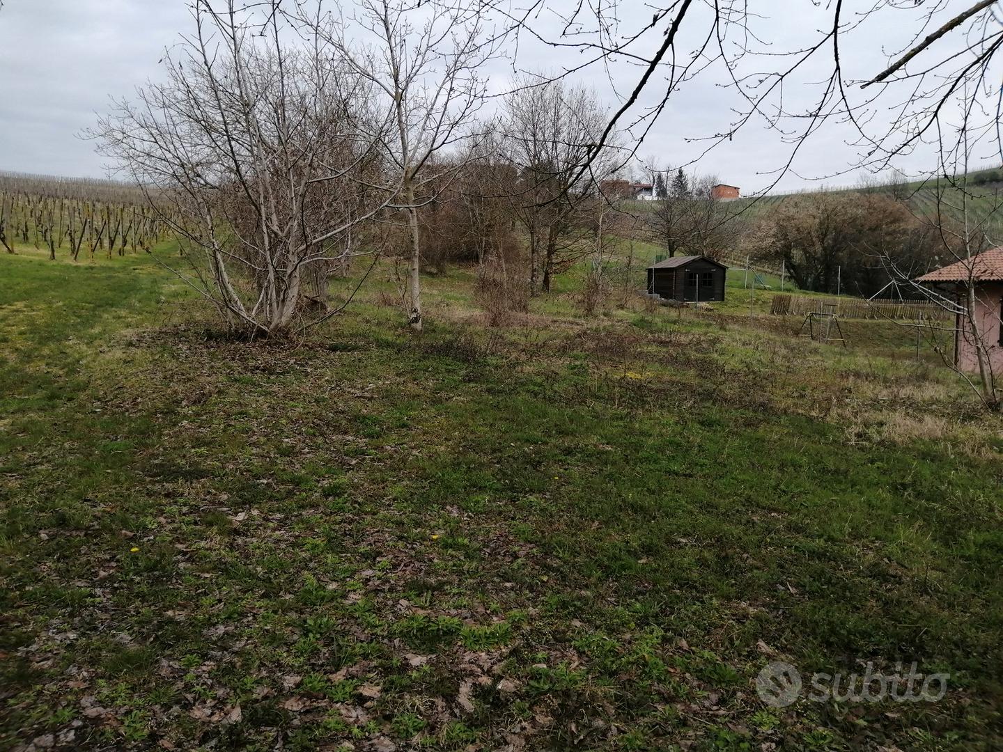 Terreno Oltrepo' Pavese - Vista 3