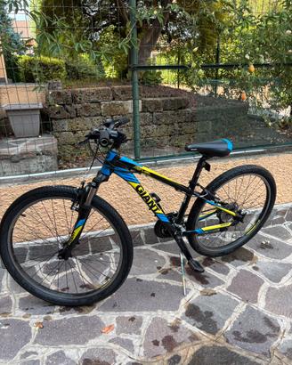 MTB Giant Revel 2 -26’’– 21 velocità-Shimano