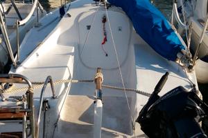 Barca a vela 26 cantiere Edilmar