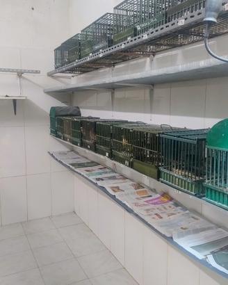 Tordi bottacci e merli