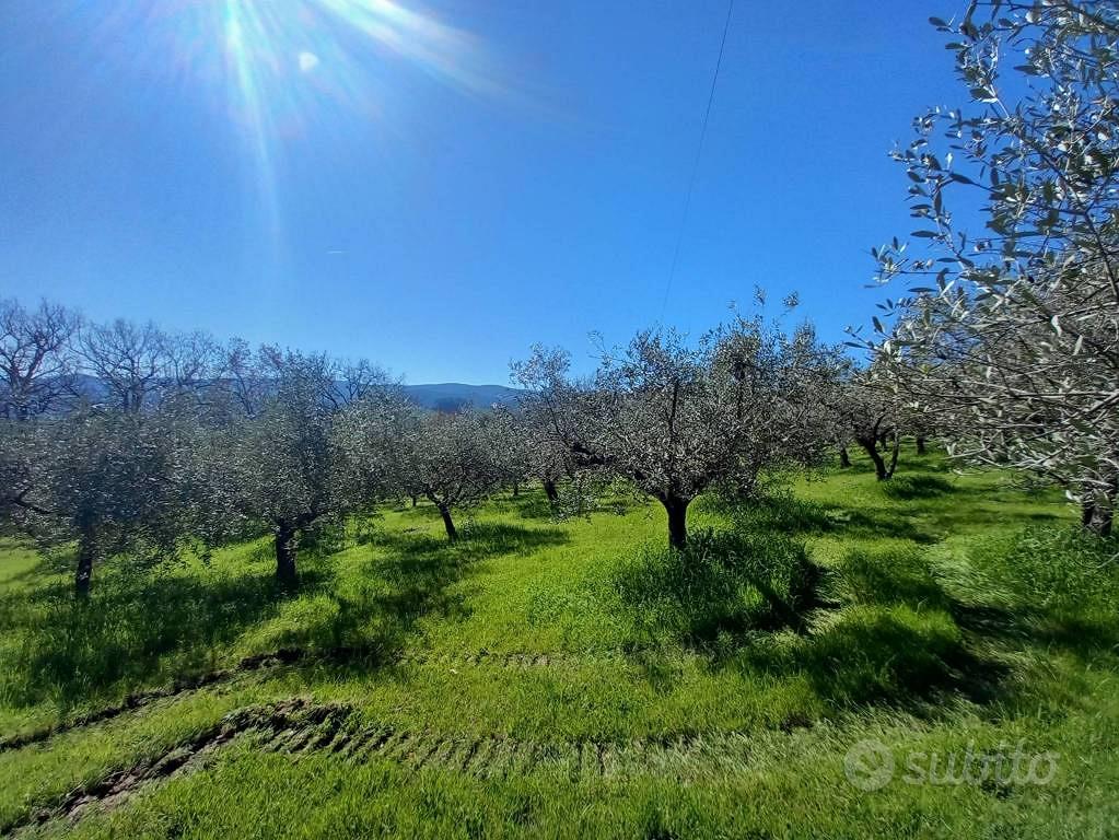 Rustico / Casale di 200 m² con 4 locali e box auto - Vista 4