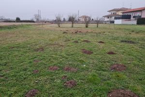 Terreno edificabile | mq 1.000 | 50 KM da MILANO